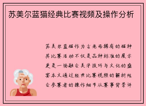 苏美尔蓝猫经典比赛视频及操作分析